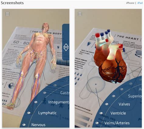 تحميل برنامج anatomy 4d مع الاكواد